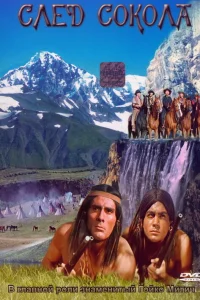  След Сокола 